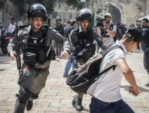 hr violation in palestine