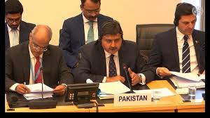 Pakistan delegation in United Nations Human rights Committee Meeting