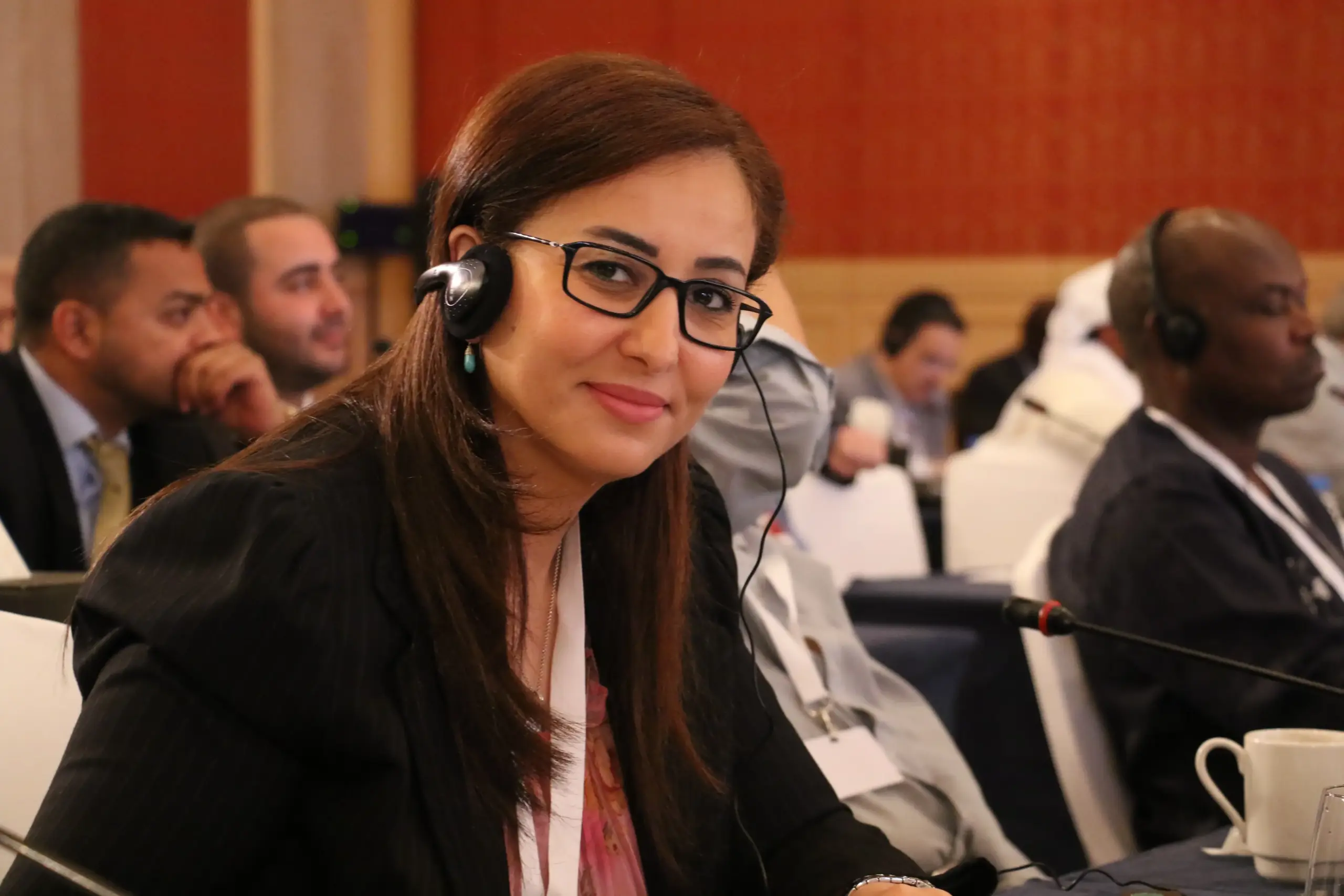 Neven Melek: Leading Press Freedom Advocate, Human Rights Defender, and Lawyer